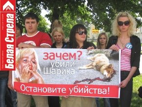 Защитники животных пикетировали Запорожскую мэрию