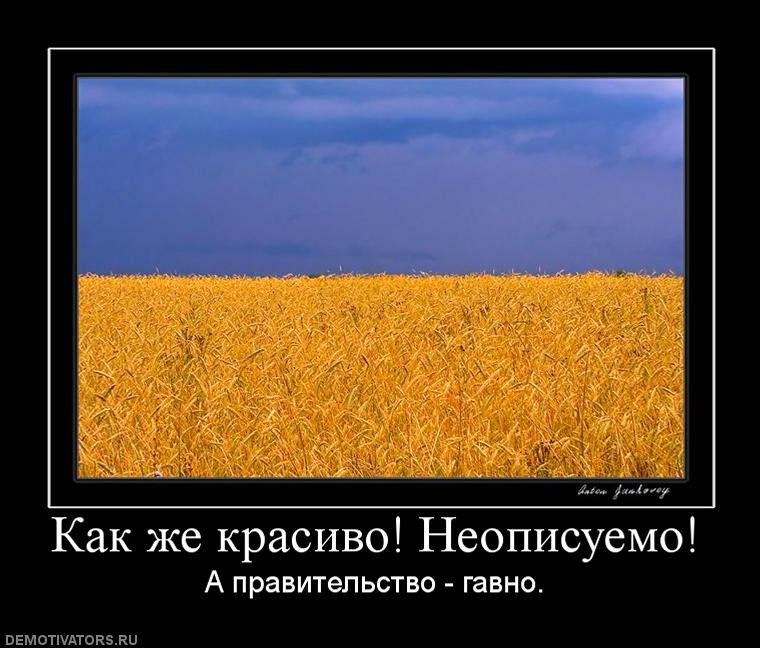 Афоризм дня и юмор (Фото. Видео)