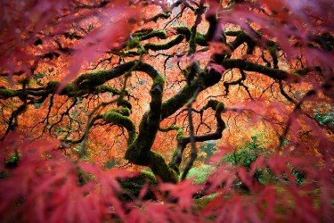 Фотоконкурс журнала «National Geographic Traveler» 2012