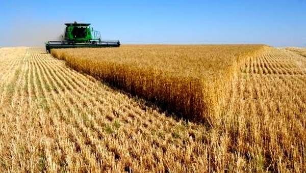 Советы Белгородского губернатора  по превращению Украины в аграрную супердержаву и возможно ли это на данном этапе